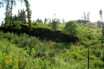 Pohled přes příkop k předsunutému opevnění ( © Filip Matoušek 07/2006)