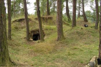 Štědrý hrádek (© Daniela Endrštová, 8/2005)
