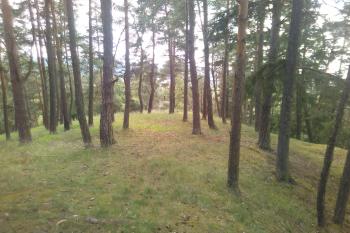 hradiště Otročín (© Viki 5512 06/2018)