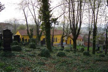  (© Prudký Martin, 04/2004)