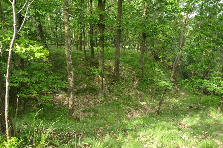 Bernartice