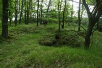 Bernartice