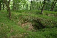 Bernartice
