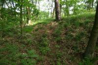 Bernartice