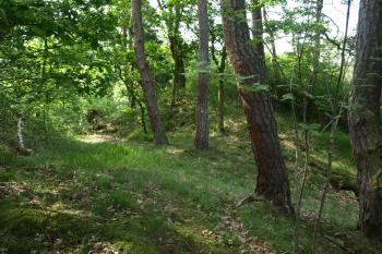 příkop na severní straně tvrziště ( © Milan Caha 06/2009)