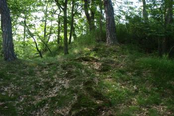 jádro tvrziště ( © Milan Caha 06/2009)