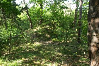 příkop a jádro zvrziště ( © Milan Caha 06/2009)