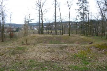 Zruč nad Sázavou-starý hrad (© Vlastislav Mareček, 03/2016)