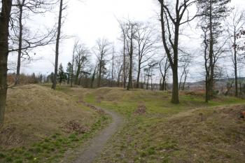 Zruč nad Sázavou-starý hrad (© Vlastislav Mareček, 03/2016)