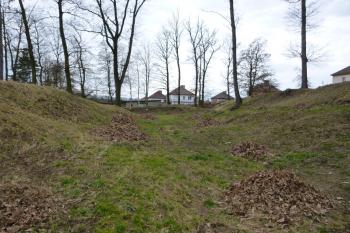 Zruč nad Sázavou-starý hrad (© Vlastislav Mareček, 03/2016)