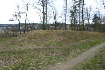 Zruč nad Sázavou-starý hrad (© Vlastislav Mareček, 03/2016)