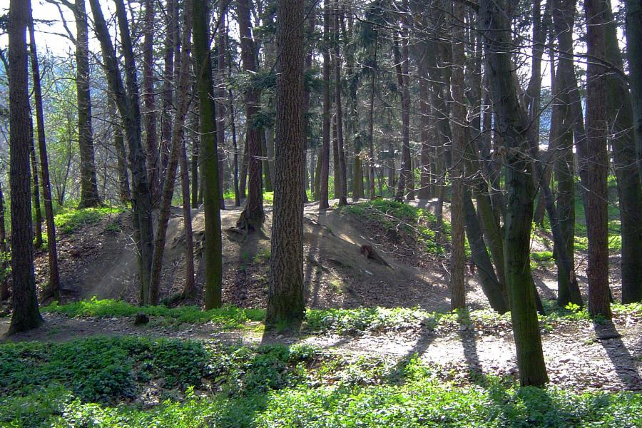 Zruč nad Sázavou