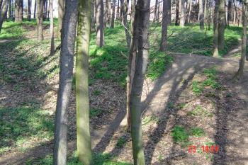 Pohled na jádro z východu (© Prudký Martin, 04/2005)
