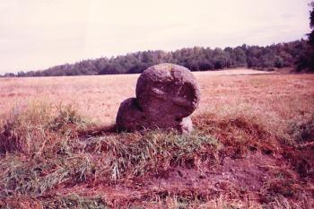 Smírčí kříž poražený krávou (© Prudký Martin, 6/2001)