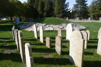 pohled na několik zachovalých náhrobků a mohyla z torz  náhrobků v pozadí ( © Jan P. Štěpánek 04/2009)