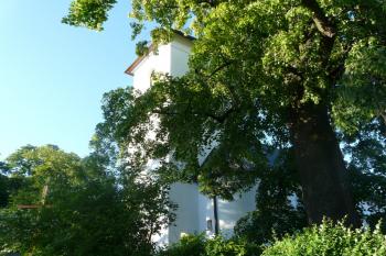 Kostel od jihu (© Jaroslav Šefčík, 06/2009)