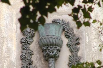 detail (© Alena Volná, 7/2007)