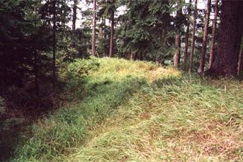 Val, nebo zbytky zdí (© Vlky, Jirka Čížek)
