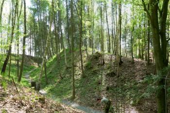 rumberk - dvojitý val s příkopy (© zdeněk komínek, 05/2011)