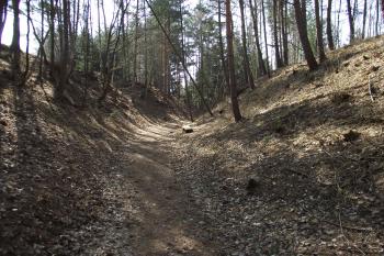  (© Michal Brůža, 03/2012)
