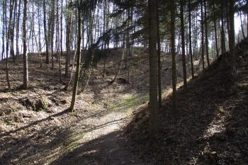  (© Michal Brůža, 03/2012)