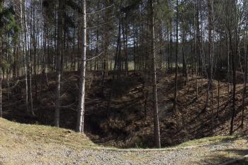  (© Michal Brůža, 03/2012)