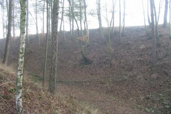 východní hradní příkop (© D Dohňanský, 02/2015)