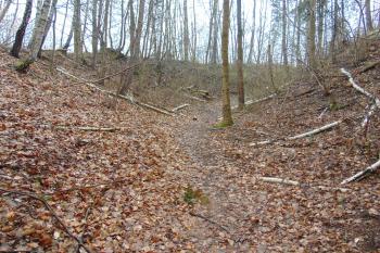 Vých. vnější příkop od severu /vlevo přístup.planina, vpravo mezilehlý val/ (© Dušan Dohňanský  04/2023)