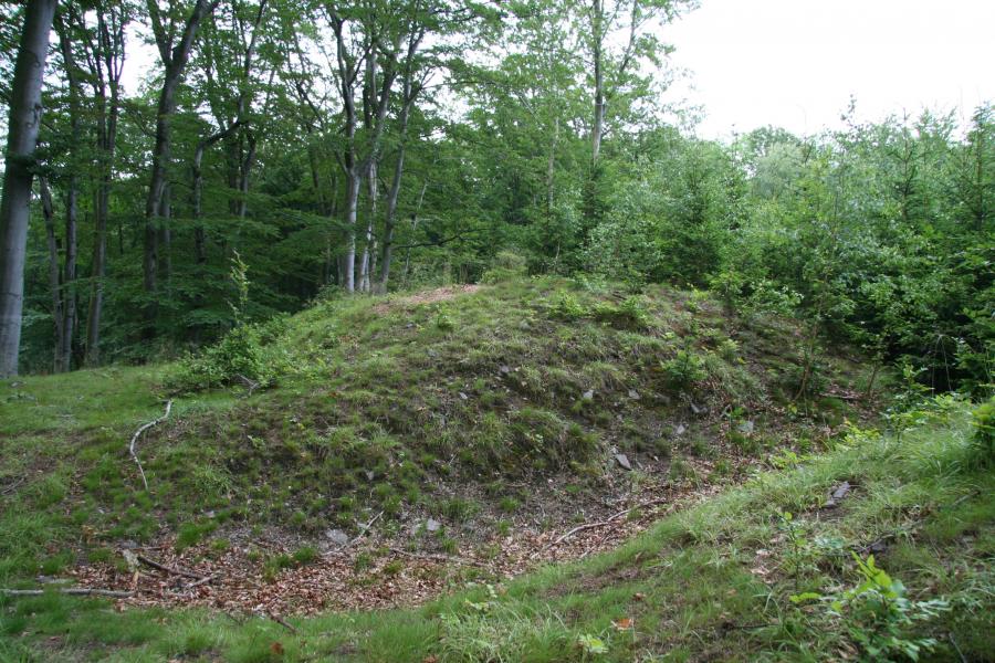 Sendraž