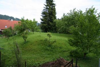  (© Petr Nožička, 06/2009)