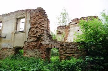  (© Dejv Róza, 06/2009)