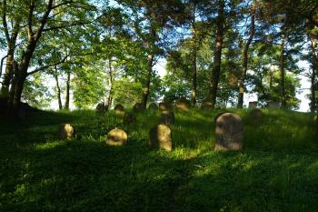  ( © Milan Caha 06/2009)
