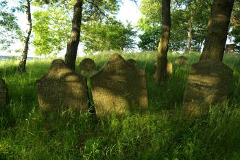  ( © Milan Caha 06/2009)
