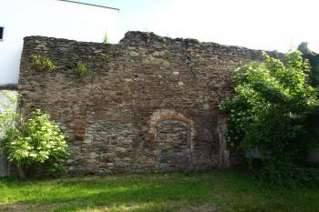  ( © Milan Caha 06/2009)