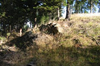 Západní příkop od jihu (© Dušan Dohňanský 09/2013)