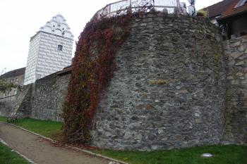  (© Karel Husák, 10/2009)