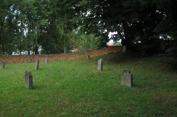  (© Zdeněk Susa, 08/2013)
