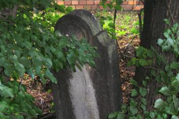  (© Zdeněk Susa, 08/2013)