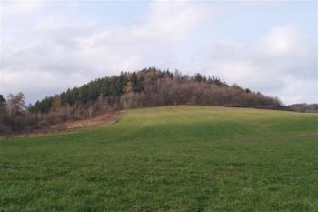 Pohled na hradní kopec (© Michal Petr, 12/2011)