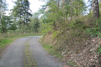 hradní úpatí na jihu (© D Dohňanský, 10/2017)