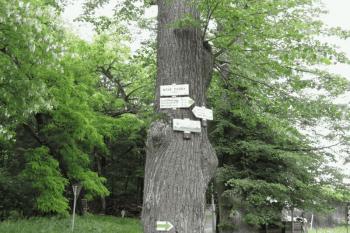 Rozcestník u Boží muky (© Jan Celý, 07/2009)