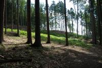 Svákovské hradiště