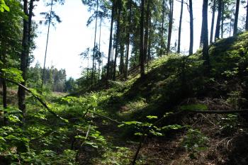 val a příkop v blízkosti brány ( © Milan Caha 07/2009)