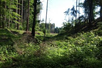 val a příkop v blízkosti brány ( © Milan Caha 07/2009)