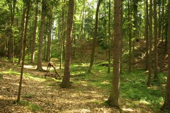 val a příkop na jihozápadě ( © Milan Caha 07/2009)