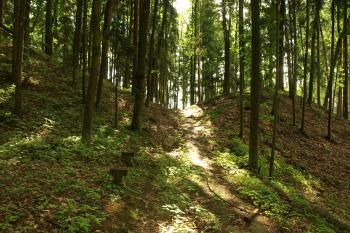 val, druhotně (?) přerušený novodobou cestou ( © Milan Caha 07/2009)