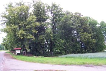 Vojenský hřbitov u České Skalice - Celkový pohled (© Ivo Rozehnal, 07/2009)
