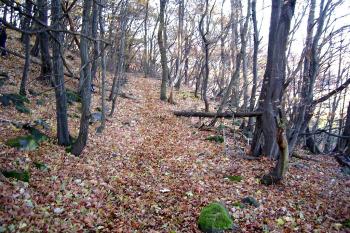cesta po severovýchodním úbočí na vrchol (© vladimír kotek)