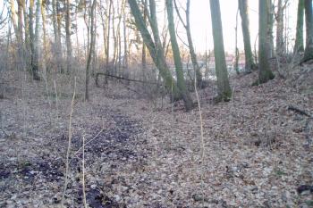 Tvrz Talíř (© F.Nestával 25/02/2012)