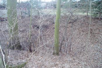 Tvrz Talíř (© F.Nestával 25/02/2012)